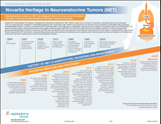 NET Heritage Infographic